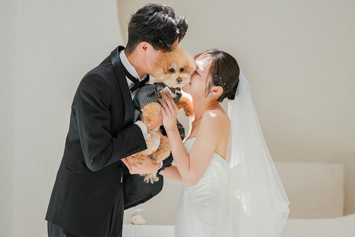 愛犬とともに紡ぐ、祝福に包まれた一日 イメージ