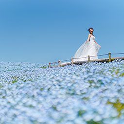 ウエディングフォトのイメージ画像