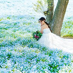 ウエディングフォトのイメージ画像