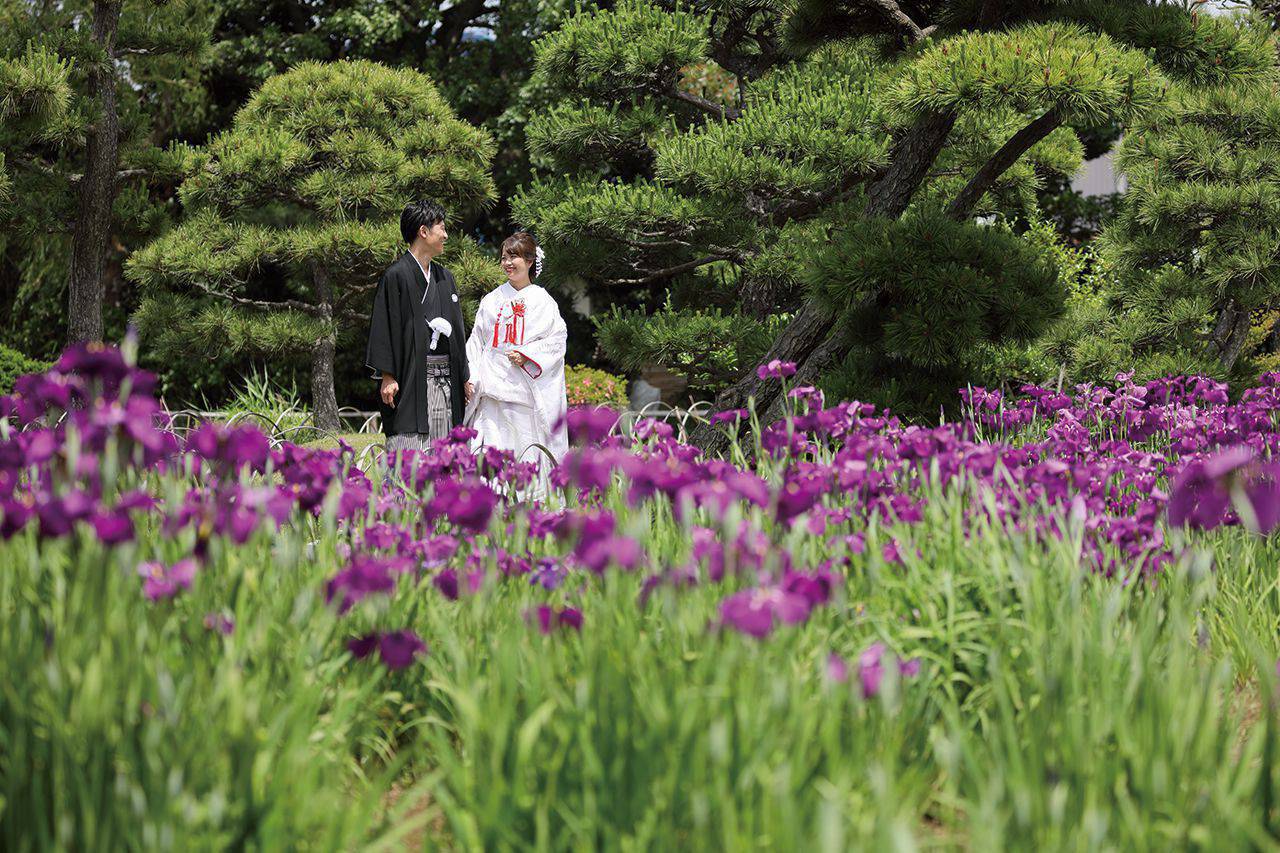 三溪園庭園 イメージ